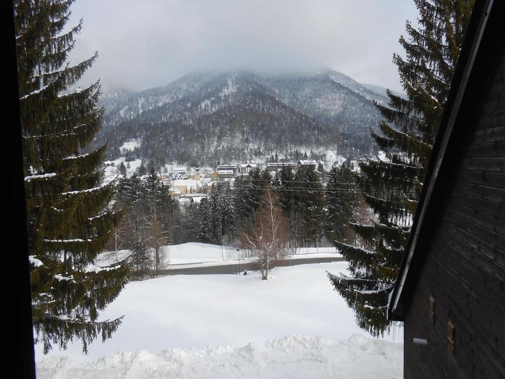 Accogliente e confortevole appartamento a Tarvisio