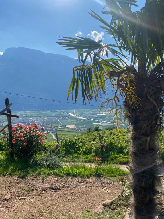 Agritur Chalet Belvedere