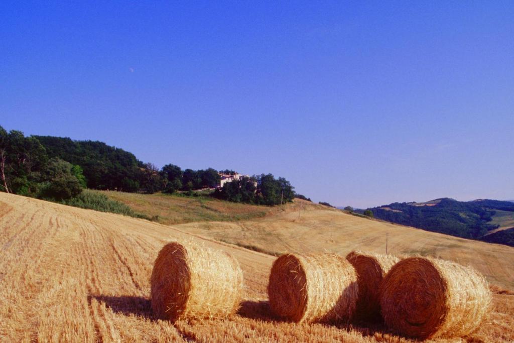 Agriturismo Il Fienile di Cà Battista