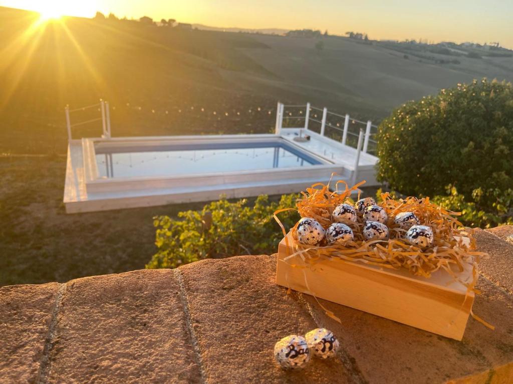 AGRITURISMO LA MOROLLA