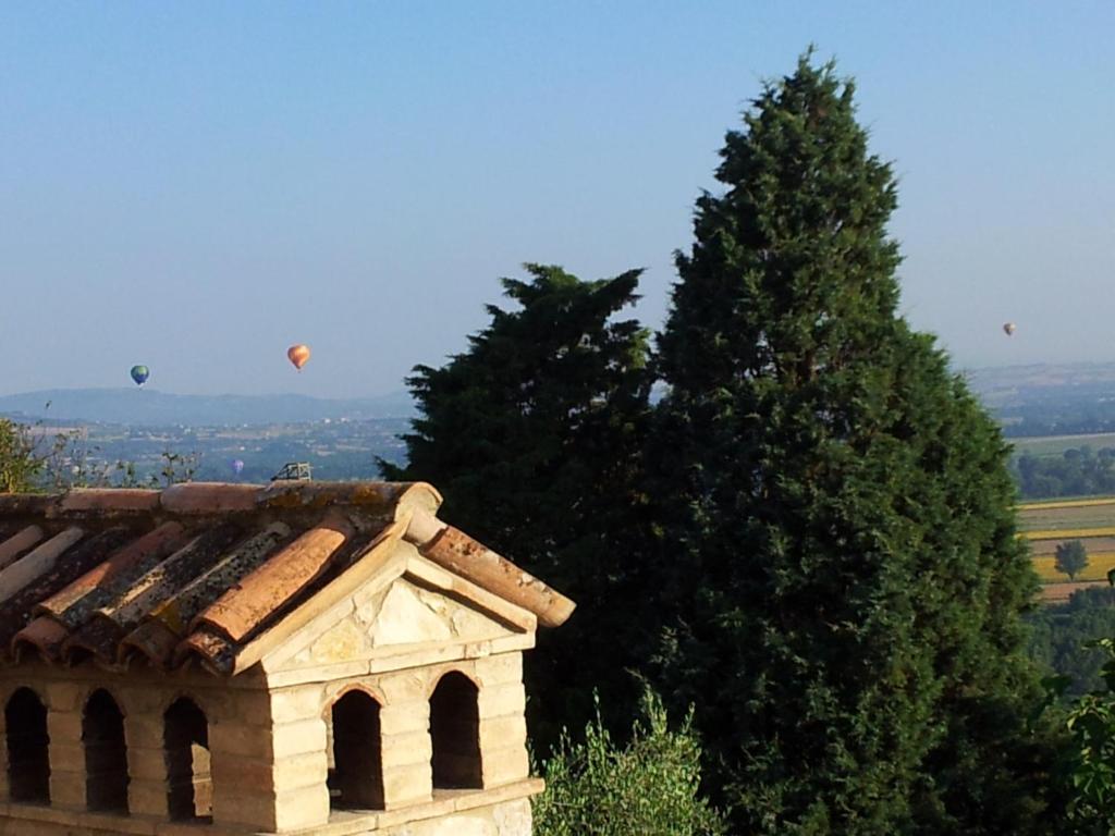 Agriturismo La Torraccia
