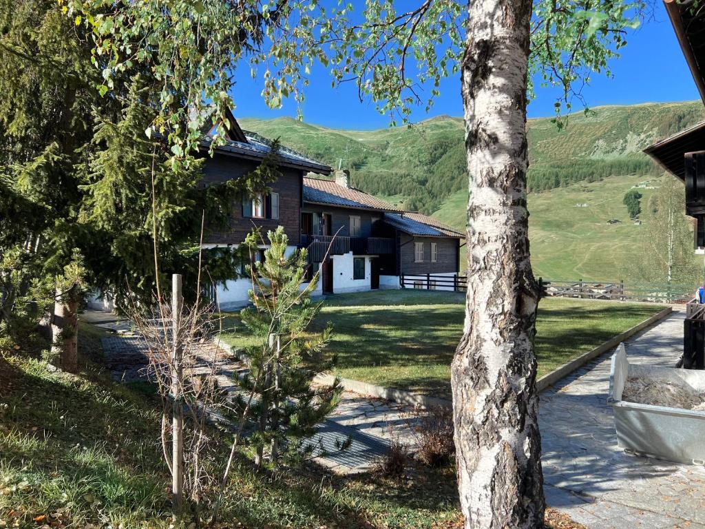 Alpen Resort Bivio