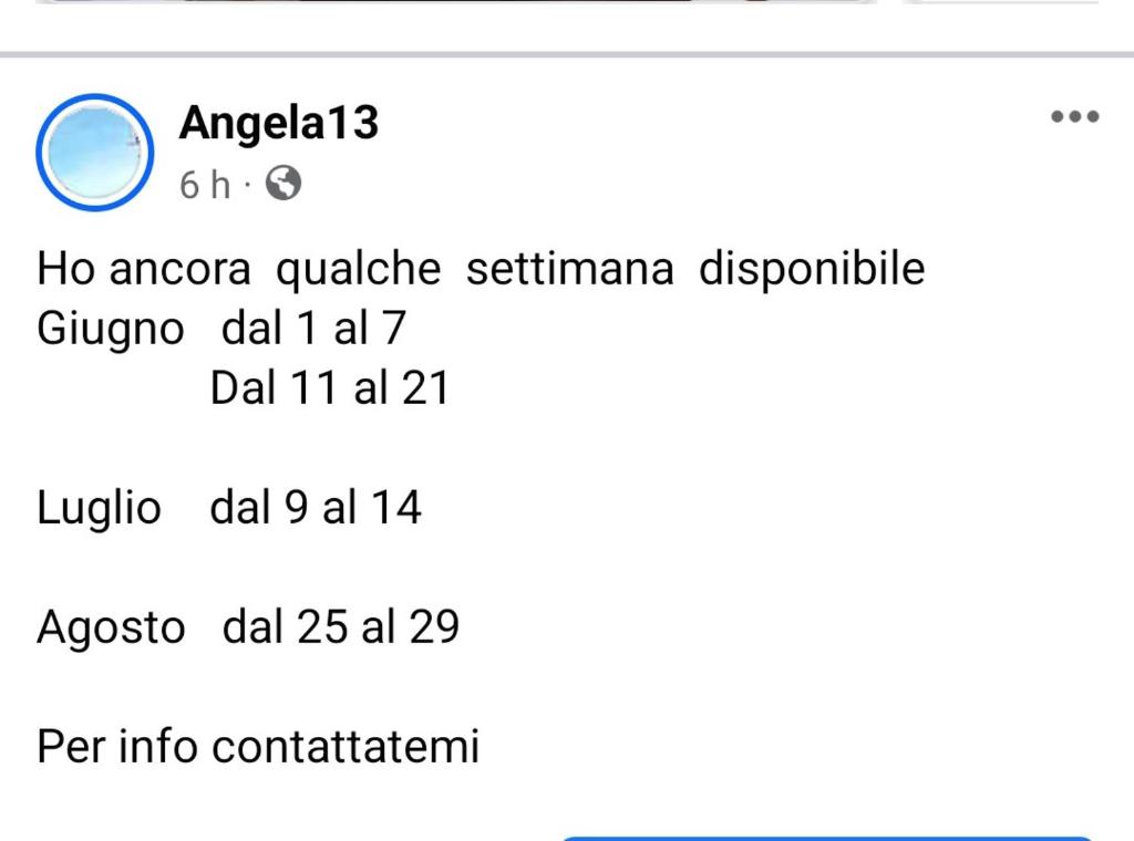 ANGELA 13