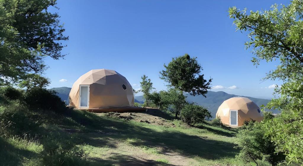 Aura - Glamping Experience
