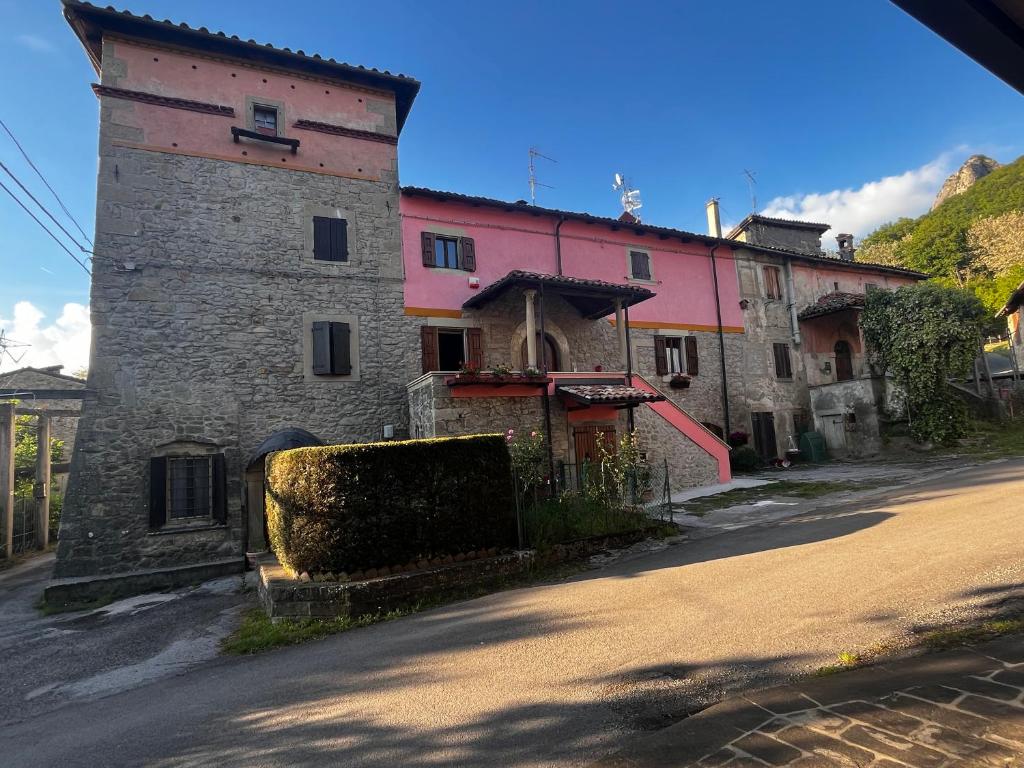 B&B Camelia