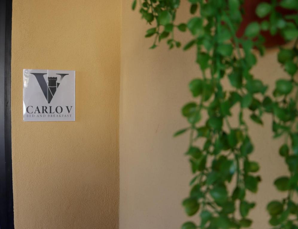 B&B Carlo V
