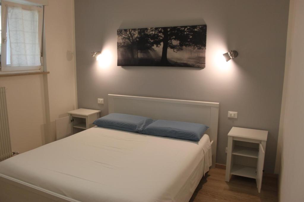 B&B Color Rovereto