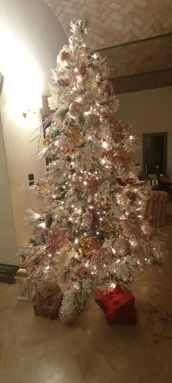 Villa delle Palme B&B 5 stelle