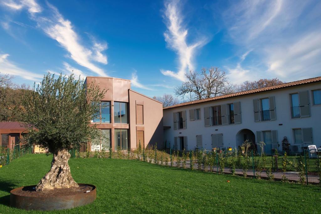 Baciucco's Suite