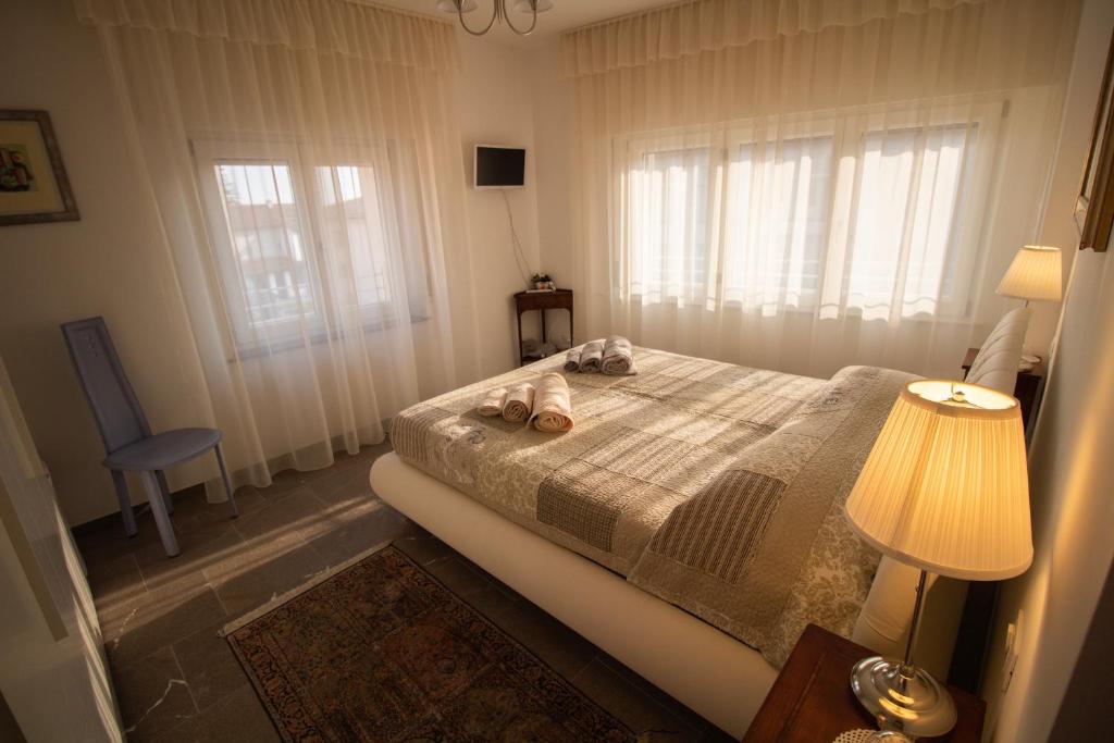 Bed Adelaide