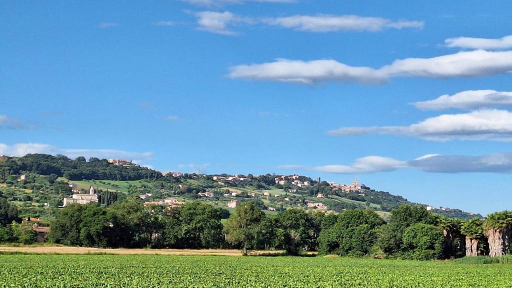 NUOVO appartamento bella vista vicino al mare
