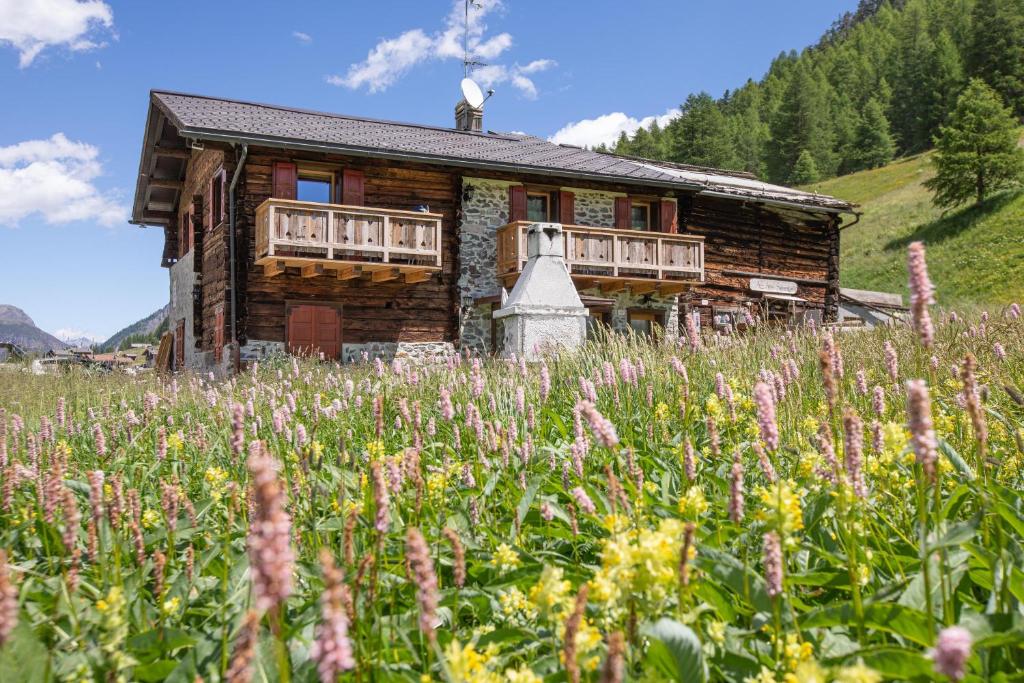 Casa Cisi ski in-Ski out 20m - Happy Rentals