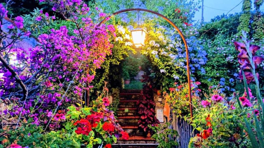 The Secret Garden Maratea - Casa di Elena