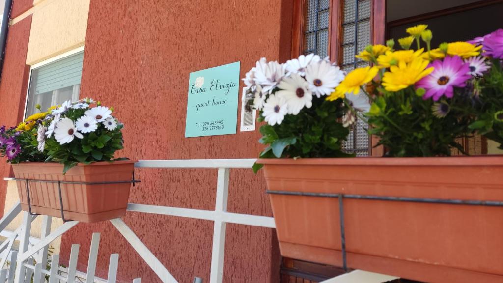 Casa Elvezia Guest House