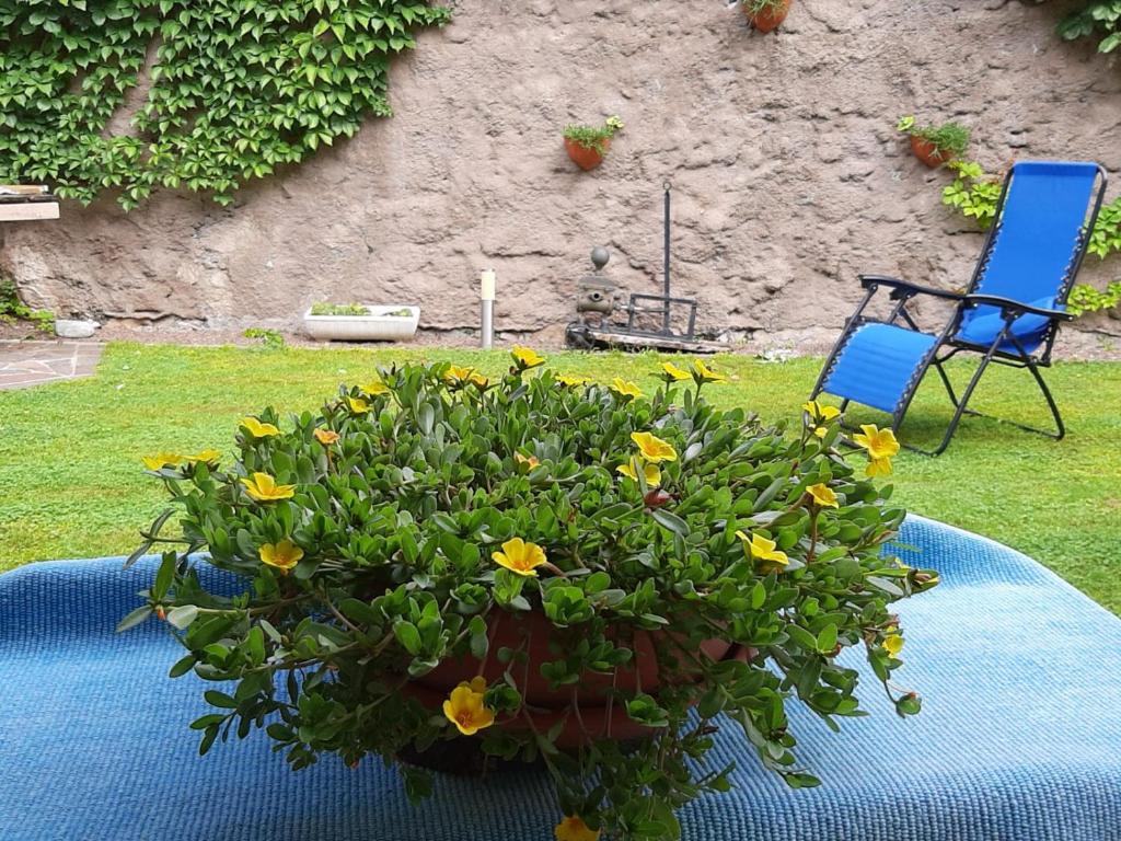 Casa Fornace