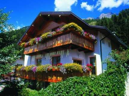 Casa Zebrusius - Zebrusius's App