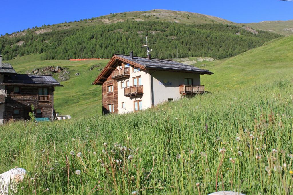 Chalet La Marinella Stella Alpina