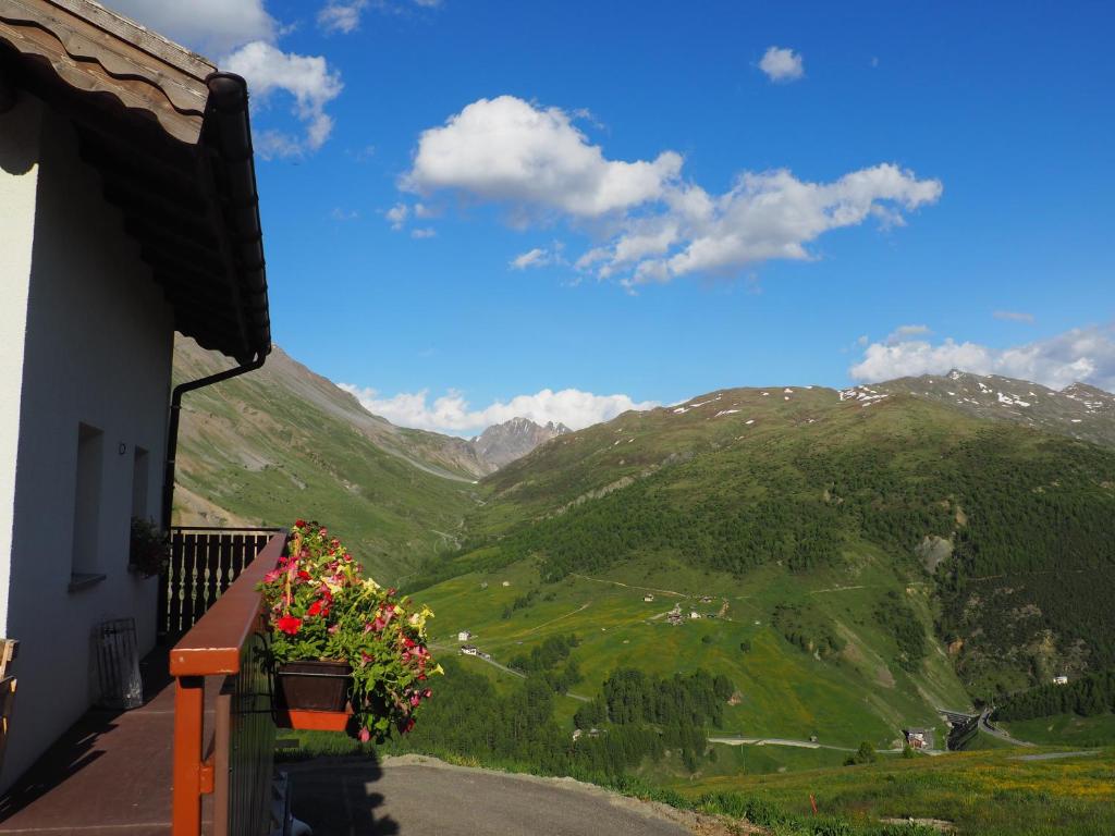 Chalet Letizia Apartments Bilo