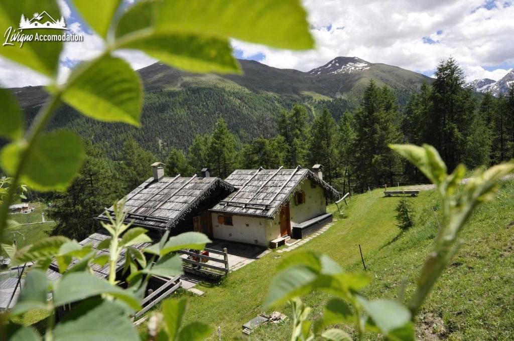 Chalet Nicolin