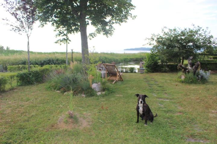 Chalet sul Trasimeno