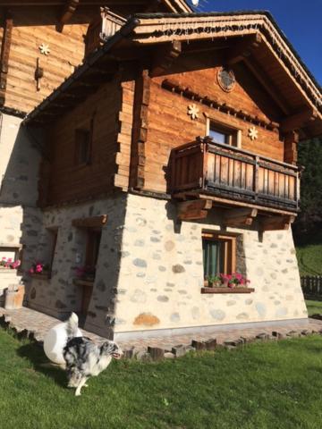 Chrys b&b