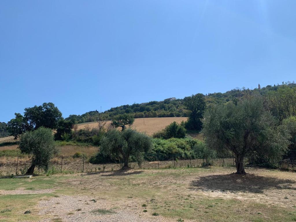 Lu Prete