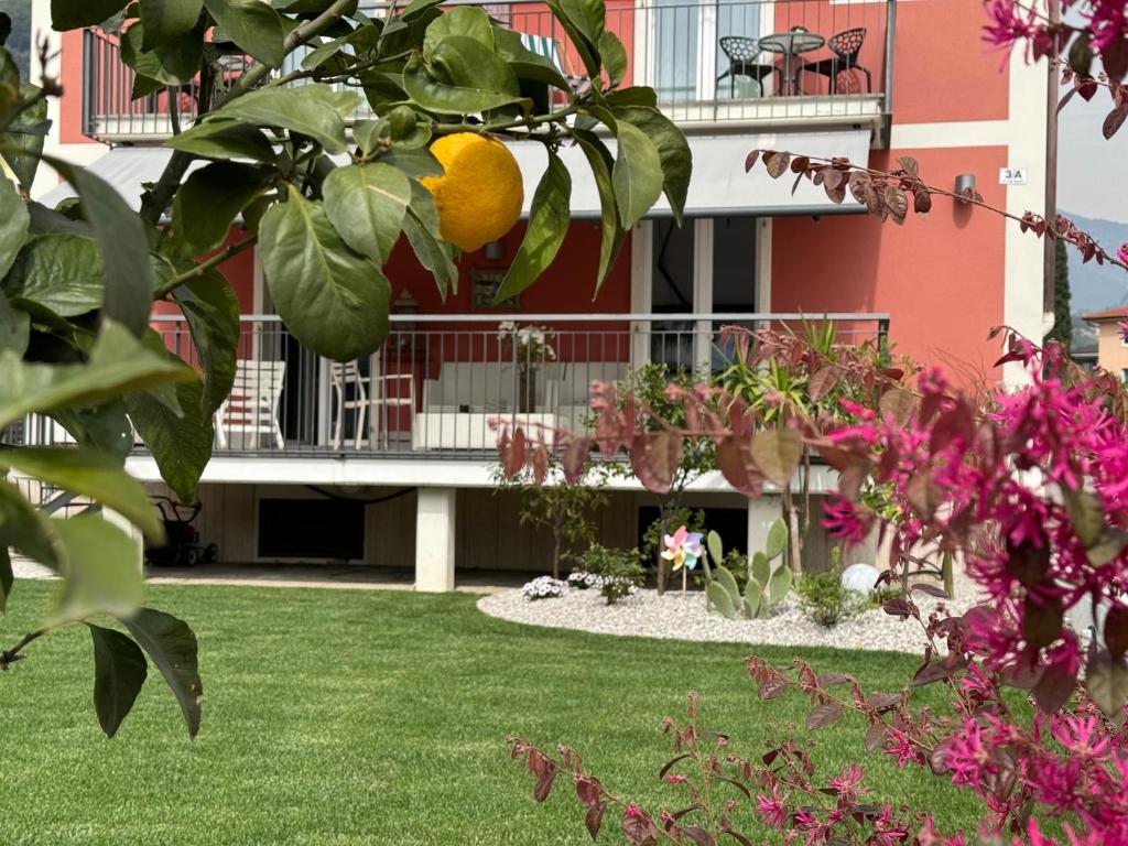 SK Active hotel - ex Garni Hotello