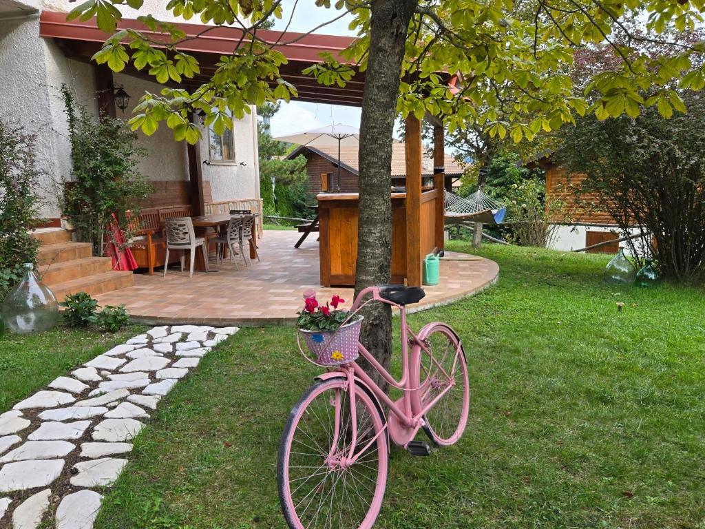Home & Garden