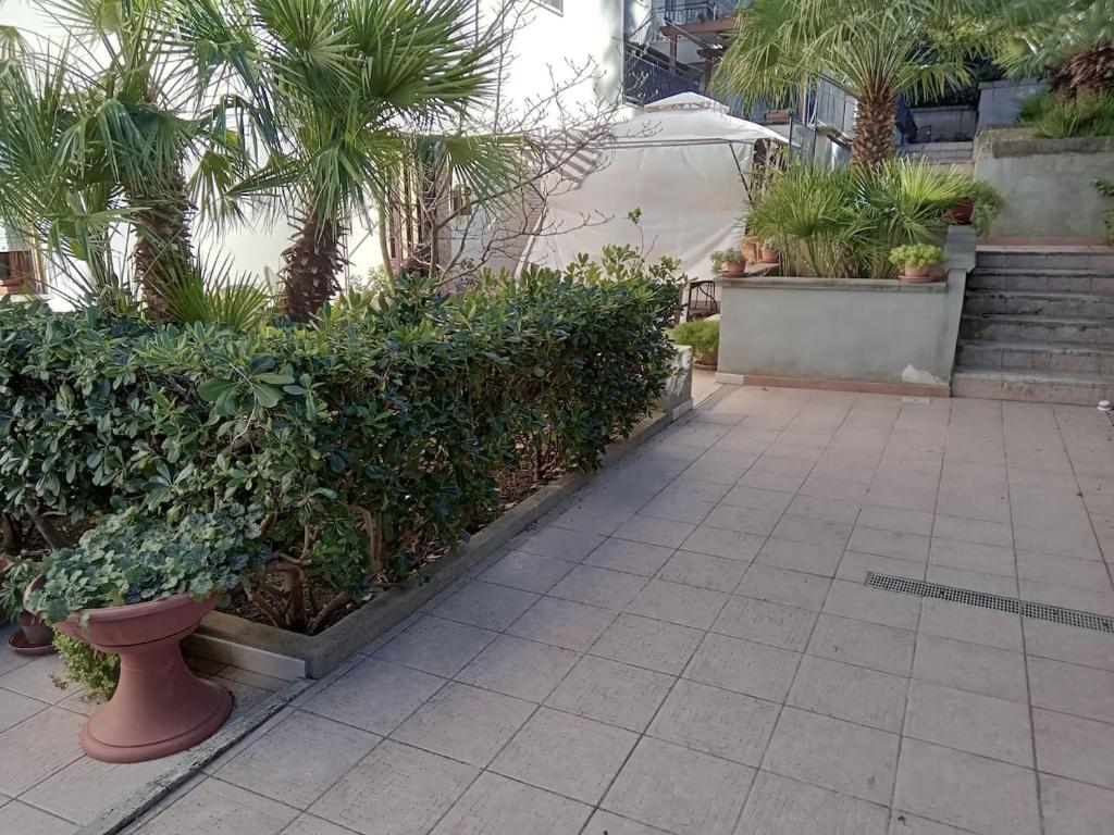 LA CASA DEI PARGOLI JUNIOR