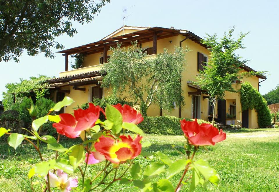 La Casa di Gelsomino