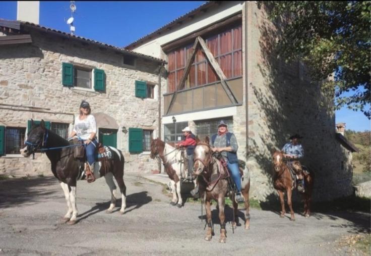 La corte dei celti la fonte 1