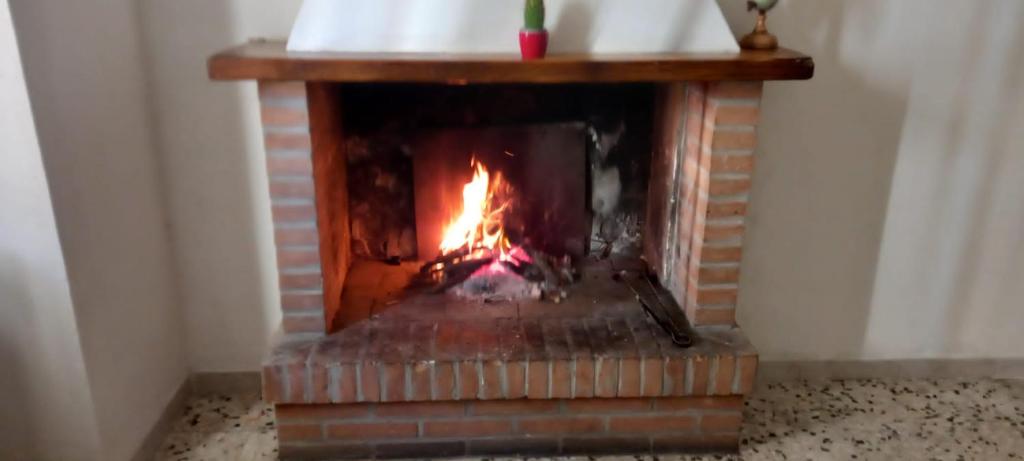 La Ginestra