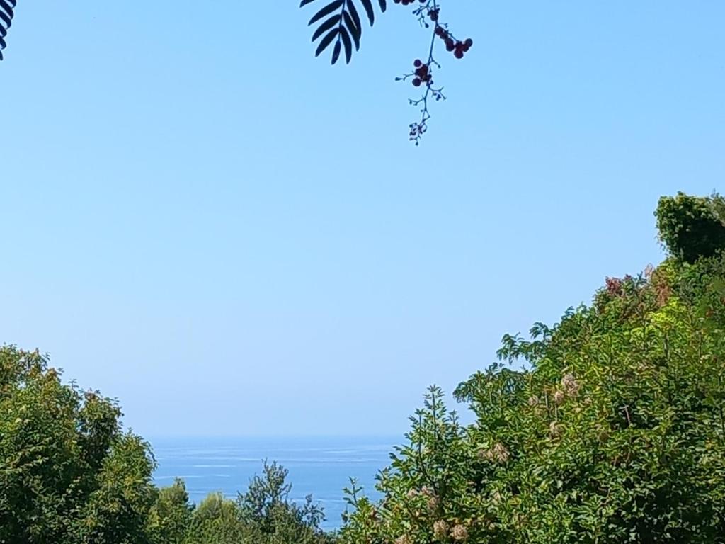 La villa Ioio