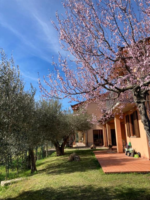 Le Coccole Del Trasimeno