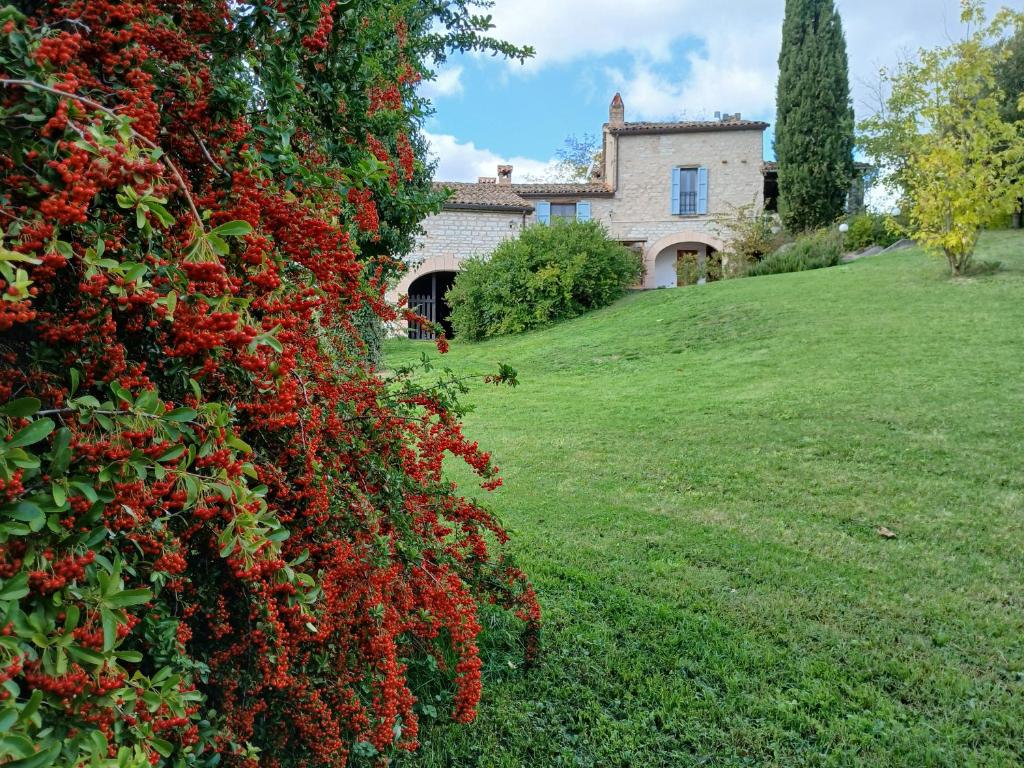 Agriturismo del Frontino - Lo Studio