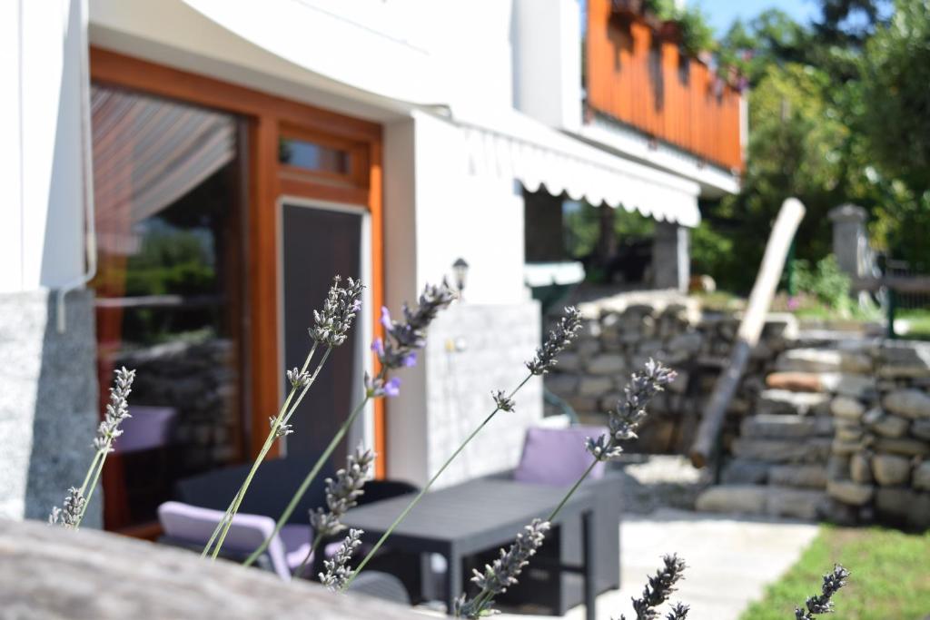 Apartment Ronscione Bellavista by Interhome