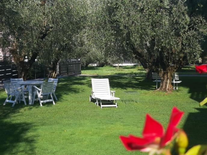 Olive Tree House