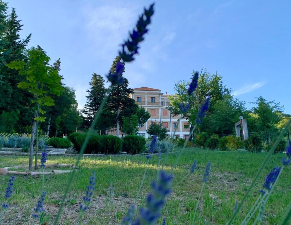 Ostello Il Volto