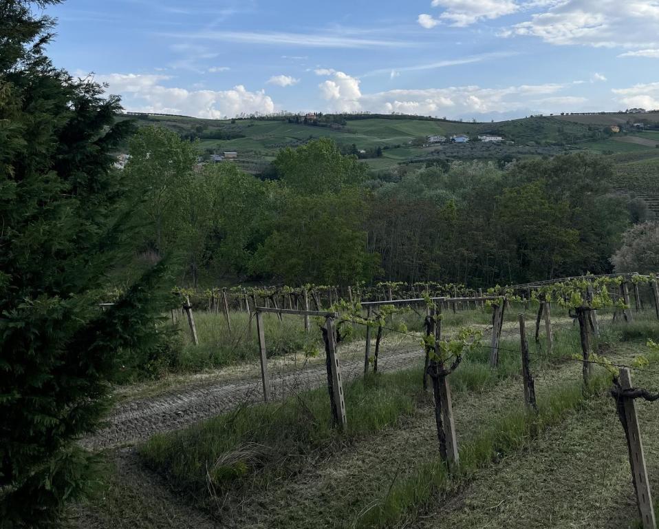 Podere VignaLago