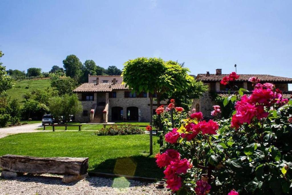 Poggio del Bolognino