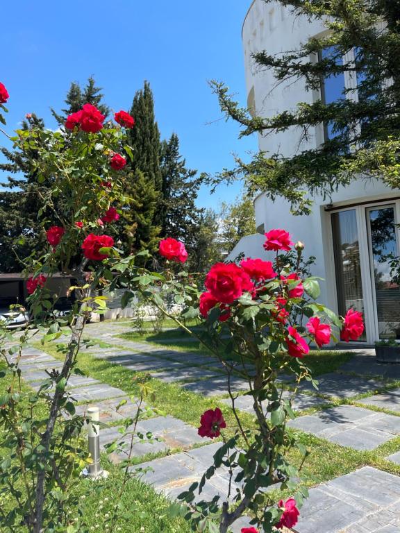 Residenza Margot