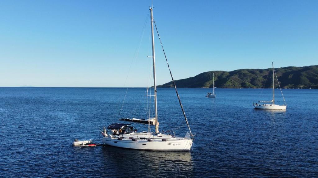 SibillaCharter