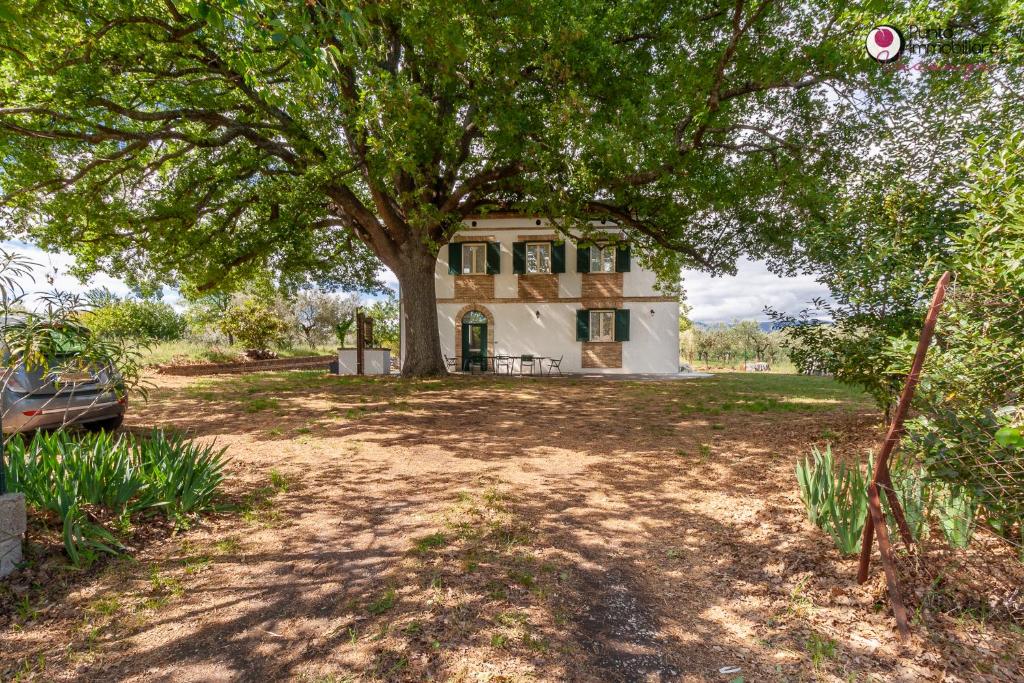 Sotto La Quercia - Punto Immobiliare Vacanze