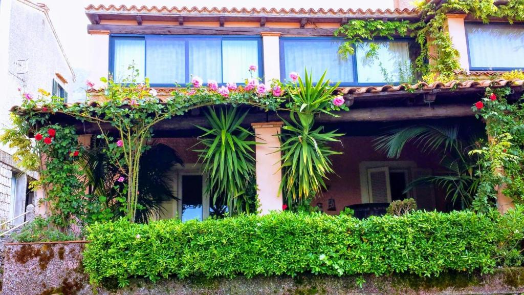 The Secret Garden Maratea - Casa di Sery