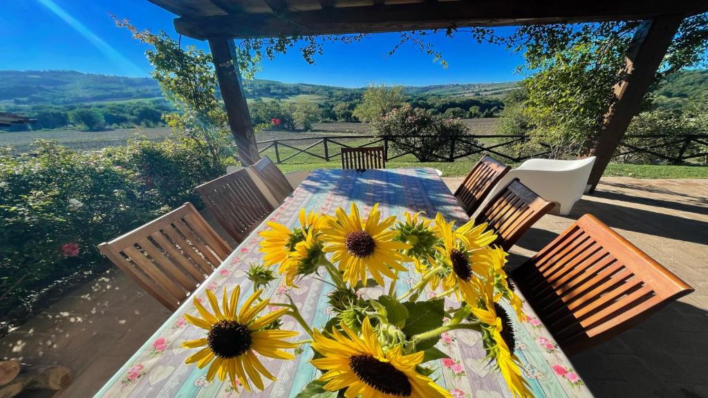 Todi By The Pool - Villaexclusive Pool Sleeps 10