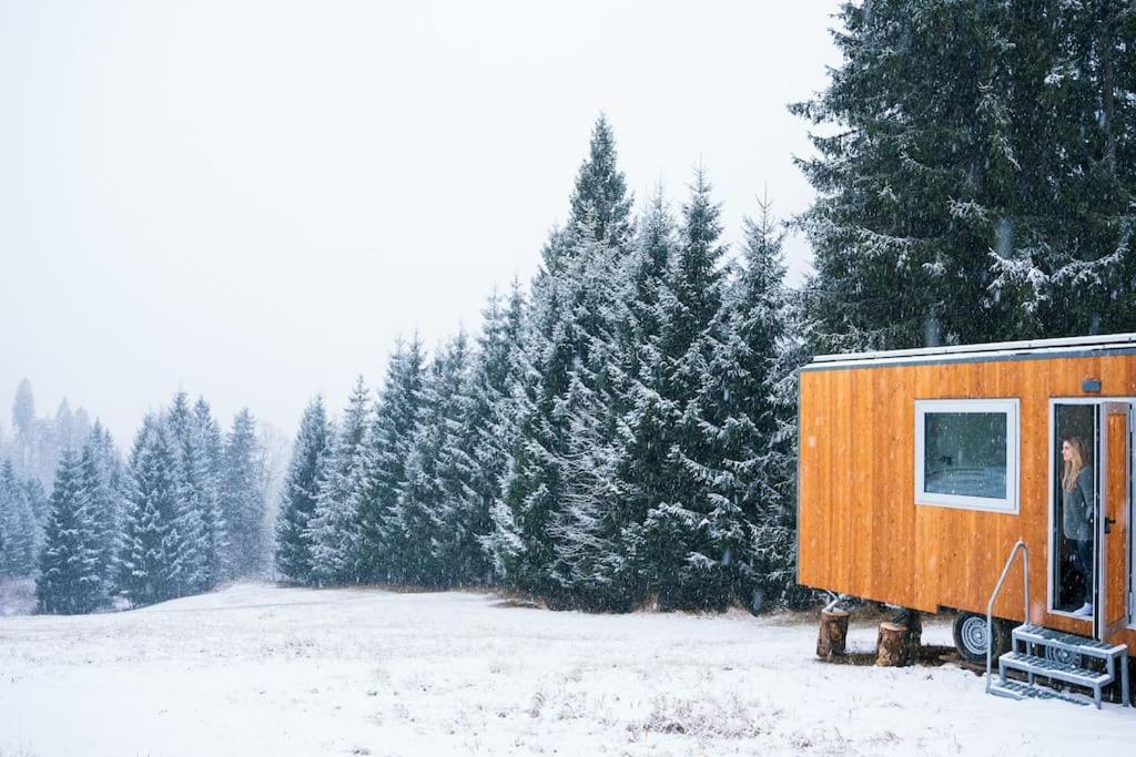 Una stanza nel bosco di Sauris - Friland