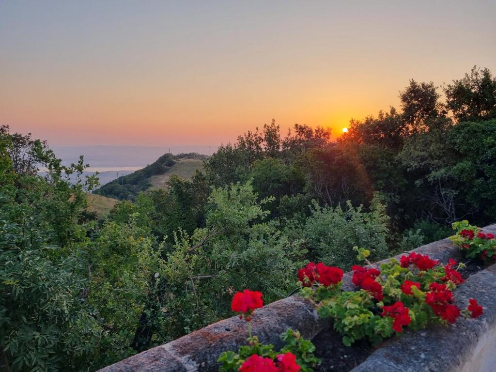 Villa Becci